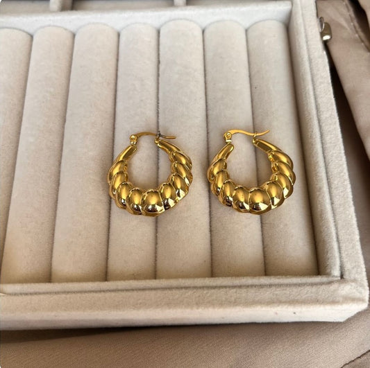 Arracada Earrings