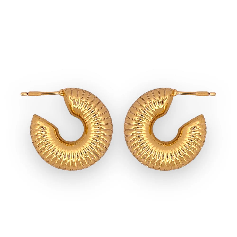 Chunky Hoops